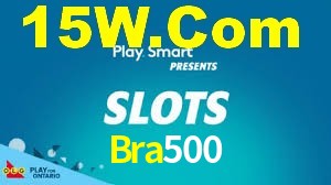 Bra500